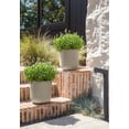 thumbnail image 4 of Veradek Mason Series Kona 10" Plastic-Stone Planter 2-Pack Sand, 4 of 10