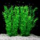 thumbnail image 1 of Plantas de plástico JIHAQUA para decoración de acuarios, extra grandes, 53 cm, color verde, 1 of 5