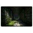 thumbnail image 1 of BotaniNest Absorbent Door Mat Indoor Crystal Velvet Rug For Entryway And Bathroom Non Slip Washable Floor Mat, 1 of 5