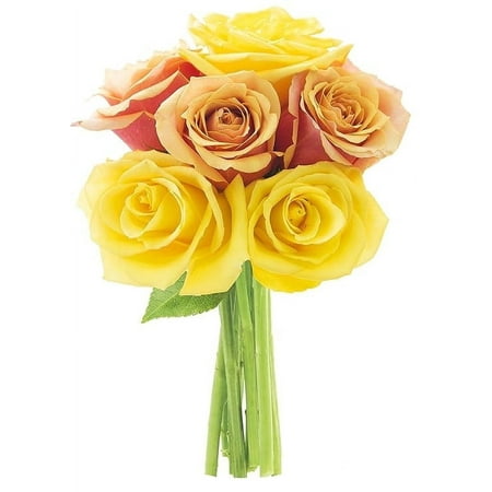 KaBloom : Bouquet of 3 Orange Roses 3 Yellow Roses Next-Day Delivery Gift for Every Occasion. KaBloom : Bouquet of 3 Orange Roses 3 Yellow Roses Next-Day Delivery Gift for Every Occasion.