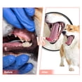 thumbnail image 4 of Zapatilla de goma duradera MONDOTOY de juguete masticable para cachorros, 4 of 7