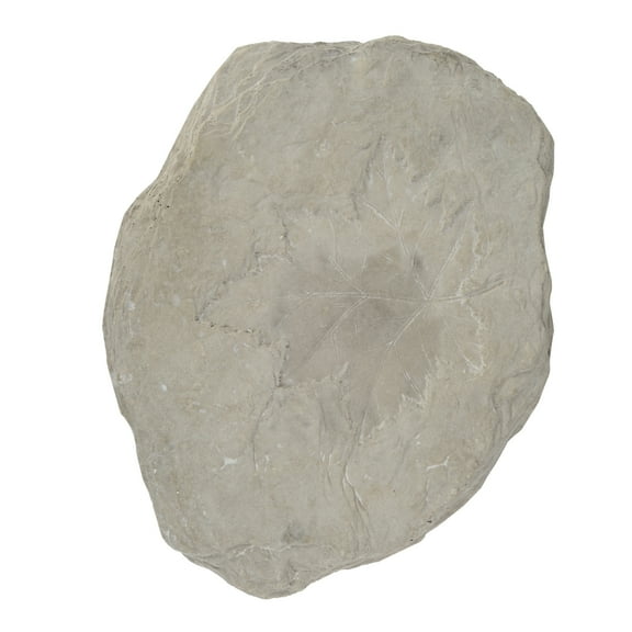 Concrete Fossil Accent Stone with Maple Leaf Imprint, White- Saltoro Sherpi