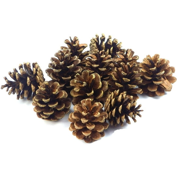 24 Pieces Pine Cones Ornament Natural PineCones Crafts for Gift Tag Tree Party Hanging Decoration (Natural)