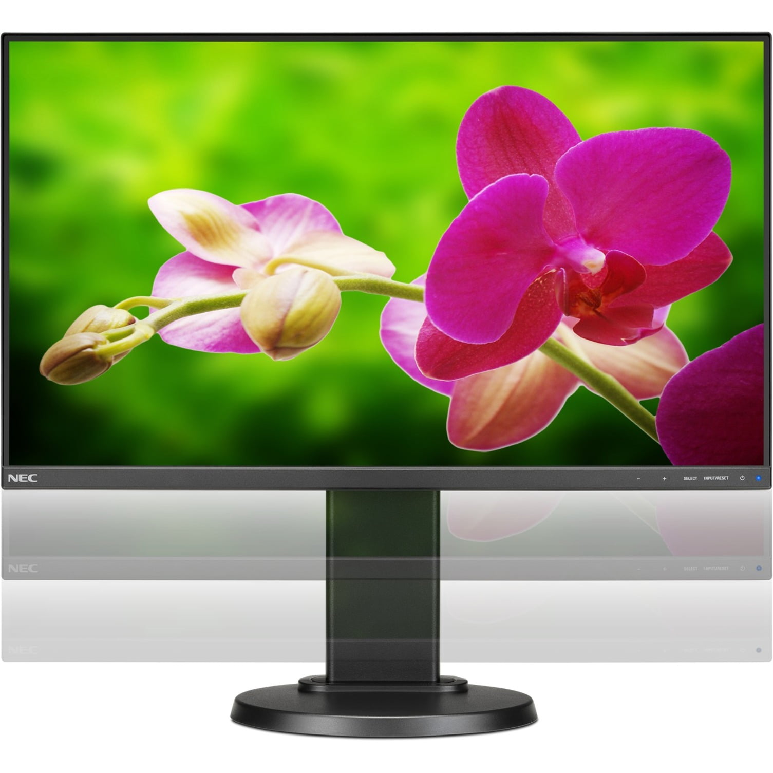 Nec Displays E242n Bk 23 8 In Multisync Ah Ips Led Backlit Lcd Monitor Walmart Com