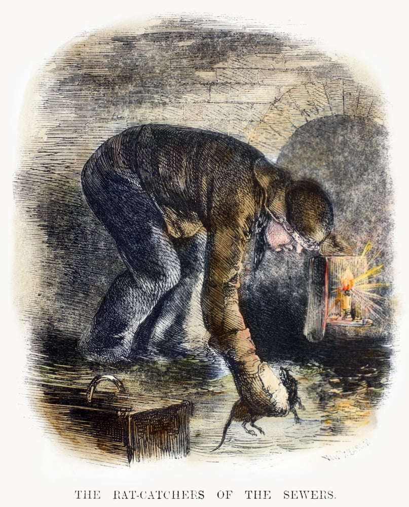 Stretched Canvas Art - Rat Catcher 19Th Century. /Na Rat Catcher At