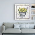 thumbnail image 3 of Trademark Fine Art 'Limes In A Silver Bowl' Canvas Art by Debra Lake, 3 of 3