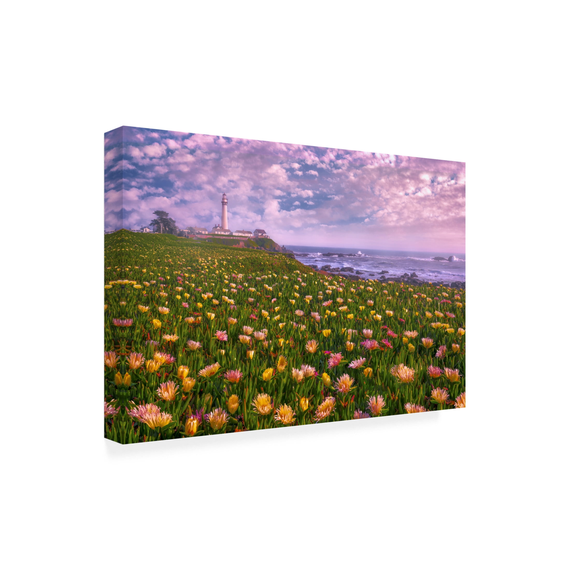 Trademark Fine Art Sophia Li Lighthouse of Succulence Canvas Wall Art