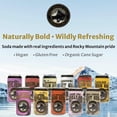 thumbnail image 3 of Rocky Mountain Soda, 24‑Pack 12 Fl Oz Cans, Small‑Batch Craft Soda Pop, Gluten‑Free, Vegan, Organic Cane Sugar, No Preservatives, No Added Sodium, Birch Beer Soda Pop, 3 of 9