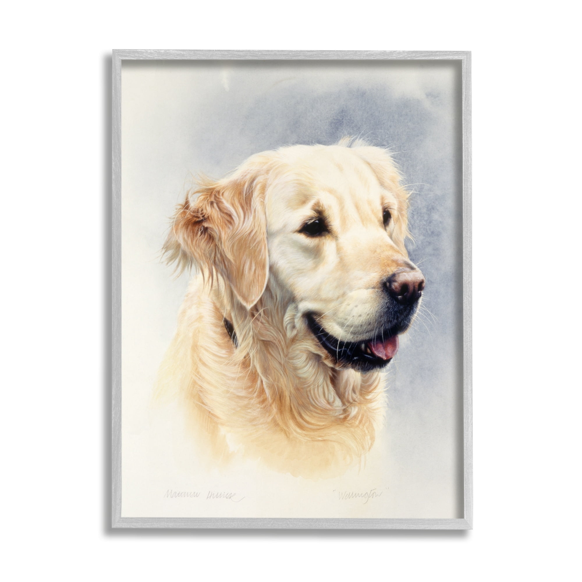 Stupell Industries Golden Retriever Smiling Portrait Animals & Insects Painting Gray Framed Art Print Wall Art