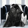 thumbnail image 6 of Ultra Soft Blanket Cute Black Pug Dog Throws Blanket Plush Fuzzy Lightweight Couch Sofa Bed Warm Cozy Flannel Blanket for Kids and Adults Gift 50"X40", 6 of 6