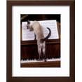 thumbnail image 2 of Blue Siamese Standing on Piano Reading Music, Animals Framed Art Print Wall Art Sold by Art.Com, 2 of 6