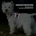 thumbnail image 5 of Dog Harness and Leash Set, Reflective Adjustable Puppy Vest for Small Medium Dogs, Cats,  No-Pull Design, 5 of 9