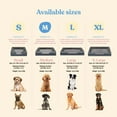 thumbnail image 3 of PayUSD Dog Bed for Large Medium Small Dogs Orthopedic Pet Dog Sofa Bed with Removable and Washable Cover S to XL, 3 of 9