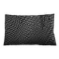 thumbnail image 1 of Ahgly Company Indoor Rectangular Contemporary Lumbar Throw Pillow, 13 inch by 19 inch, 1 of 5