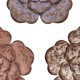 thumbnail image 2 of Stratton Home Décor Farmhouse Set of 3 Rustic Metal Flowers Wall Decor, 2 of 4