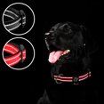 thumbnail image 3 of azuza 2 Pack Neoprene Padded Dog Collar for Small Dogs, Reflective Dog Collar with ID Tag Ring, Adjustable Safe and Comfy Dog Collars,Black/Red,XS, 3 of 6