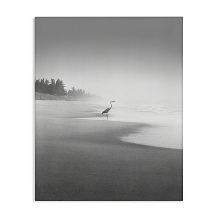 Stupell Industries Heron on Beach Coast Coastal Photography Gallery Wrapped Canvas Art Print Wall Art 16 x 20
