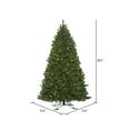 thumbnail image 2 of Vickerman 7.5' x 54" Oregon Fir Outdoor Artificial Christmas Tree,  Warm White Wide Angle LED Lights, 2 of 3