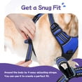 thumbnail image 5 of Pigo Dog Harness No Pull Pet Harness with 2 Leash Clips, Adjustable Soft Padded Dog Vest, No Choke Reflective Outdoor Pet Oxford Vest with Easy Control Handle for Large Dogs, Dazzling Blue, 5 of 11