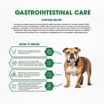 thumbnail image 3 of Dr. Pol® Clinical Gastrointestinal Care Chicken Recipe – Sensitive Digestion Adult Dog Food, 7 lb Bag, 3 of 7