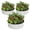 White, variant on Petyee 2x2x1FT Round Galvanized Raised Garden Bed,Outdoor Metal Patio Planter Box for Vegetables, Flowers and Plants, Rust-Resistant,Silver