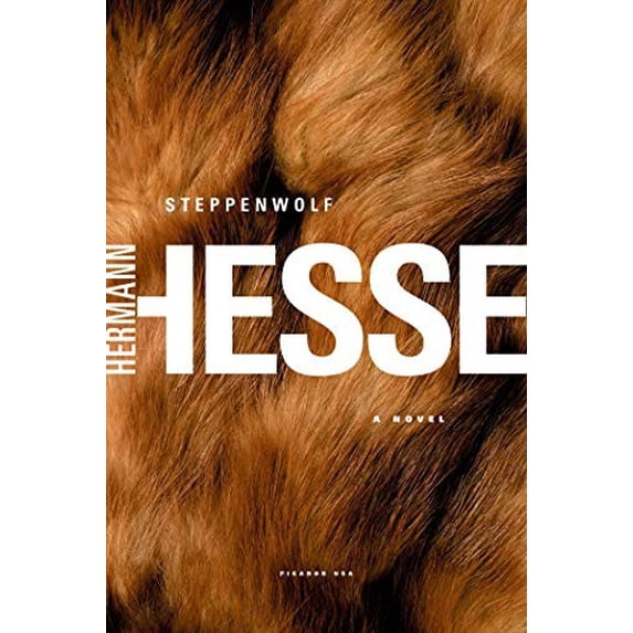Pre-Owned Steppenwolf (Paperback) 0312278675 9780312278670