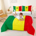 thumbnail image 3 of Manfei Senegal Flag Full Size Comforter Sets,Vintage National Bedding Comforter Set,Green Yellow Red,Light Gray Reversible,3-Piece,1 Comforter and 2 Pillowcases, 3 of 7