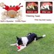 thumbnail image 3 of Juguetes para perros pequeños y medianos, juguetes para masticar perros de peluche chirriantes para el aburrimiento, juguetes de cuerda resistentes y duraderos para cachorros, juguetes de peluche, 3 of 5
