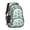 Dinosaur and Text, variant on Dinosaur and Volcano Green Pattern Backpack for School, Cute School Bag with Adjustable Shoulder Straps and Padded Back, 16.9"x12.6"x5.9"
