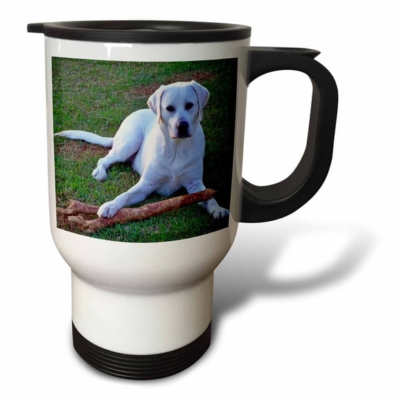 3drose, White Labrador Retriever, 14oz Stainless Steel Travel Mug
