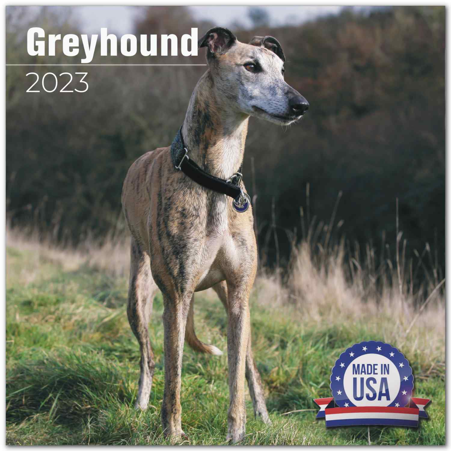 Greyhound Calendar 2020 Premium Dog Breed Calendars 