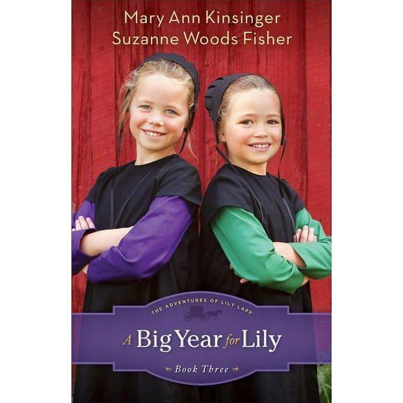 Adventures of Lily Lapp Big Year for Lily, Book 3, (Paperback)