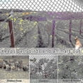 thumbnail image 4 of Heavy Anti Bird Netting Net Garden Fence And Crops Protective Fencing Mesh Anti Bird Deer Cat Dog Chicken Net Fishing Net, 4 of 4