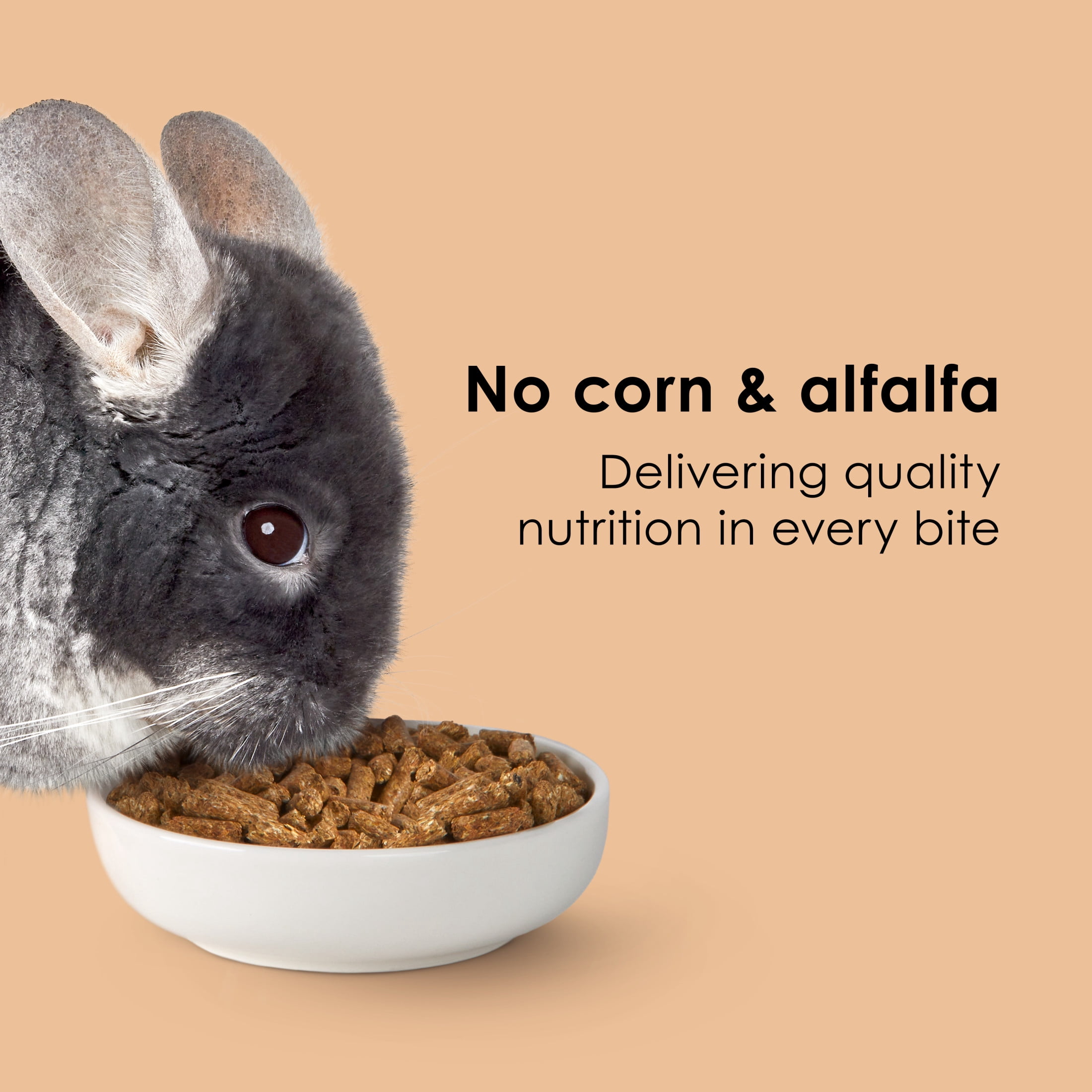 Kaytee Timothy Complete Chinchilla Food Timothy Hay 25 Pounds