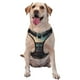 thumbnail image 1 of Fotbe Cool Cat Driving Sunset Arnés para Perro con Estampado –Chaleco Ajustable Acolchado con Asa de Control para Perros Grandes-Large, 1 of 6