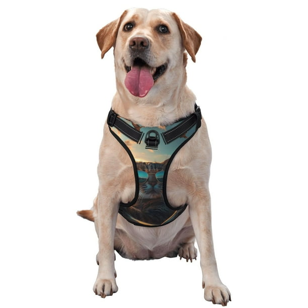Fotbe Cool Cat Driving Sunset Arnés para Perro con Estampado –Chaleco Ajustable Acolchado con Asa de Control para Perros Grandes-Large