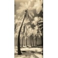thumbnail image 2 of Friedman, Susan 11x18 White Modern Wood Framed Museum Art Print Titled - Palm Shadows I, 2 of 4