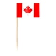 thumbnail image 2 of Country Flag Toothpicks | Cake And Burger Decorative Sticks | Flags For Themed Meals, 2 of 5
