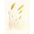 thumbnail image 2 of Lee, Judson 25x32 Gold Ornate Wood Framed with Double Matting Museum Art Print Titled - Leaf Grass, 2 of 4