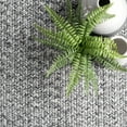 thumbnail image 3 of nuLOOM Wynn Braided Indoor/Outdoor Salt And Pepper 10' Casual Square Rug, 3 of 9