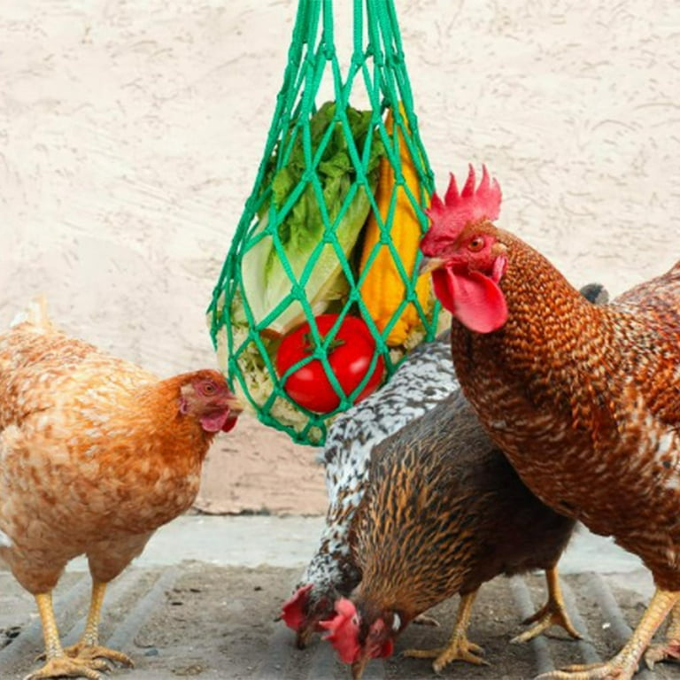 Chicken Vegetable Bag Hanging Feeder Skewers Lettuce Snack Holder