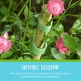 thumbnail image 3 of Tiras para plantas VELCRO Brand 22,5 m x 1,3 cm verde reutilizables, 3 of 6