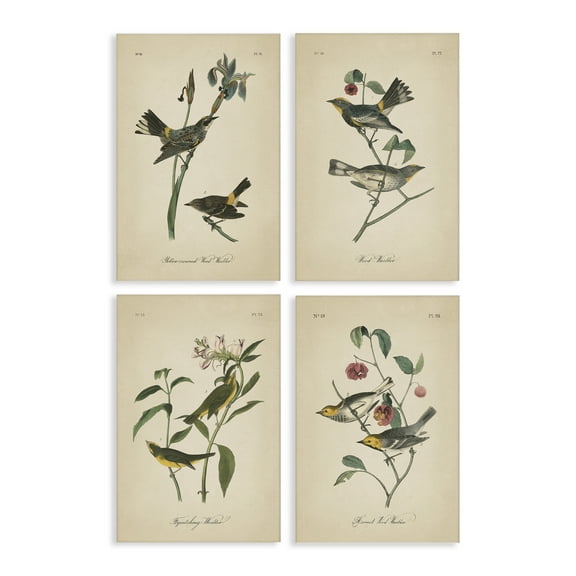 Stupell Industries Vintage Study Birds & Plants Animals Painting Wrapped Canvas Art Print Wall Art, 16 x 24, Set of 4