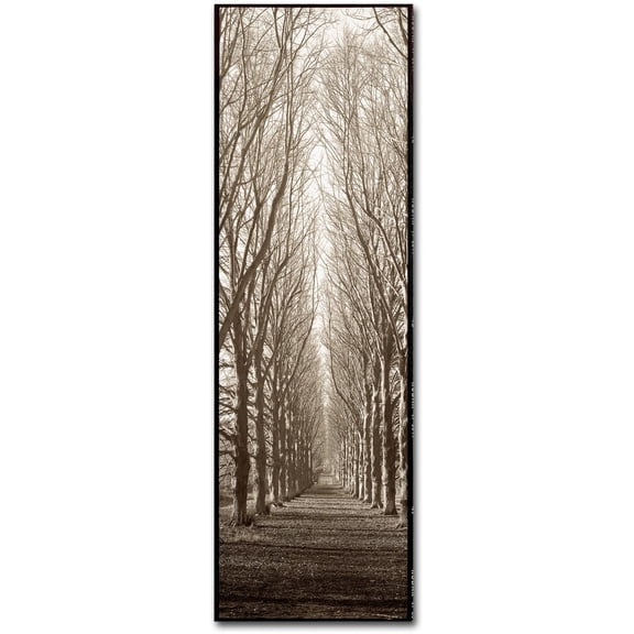 Trademark Fine Art Alan Blaustein Hampton Gates Promenade Canvas Wall Art - 10x32