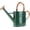 Bronze, variant on 1 Gallon Metal Watering Can with Removable Spout, Nice Galvanized Steel Water Can with Embossed Design for Indoor and Outdoor Plants