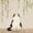 Beige, variant on jejeloiu Watercolor Cat Butterfly Twin Sheet Sets For Kids,Colorful Cute Pet Animals Bedding For Girls,3pcs