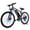 black-blue, variant on Setohet 26" Electric Bike for Adults, ebike 750W Power Motor, 45Miles 20MPH 432Wh Battery,7-Speed, UL 2849