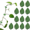 thumbnail image 1 of Pack of 50 Self Adhesive Plant Holders Plant Connector Clip Climbing Plants Fixing Wall Plant Clips compatible Supports Planting, 1 of 5