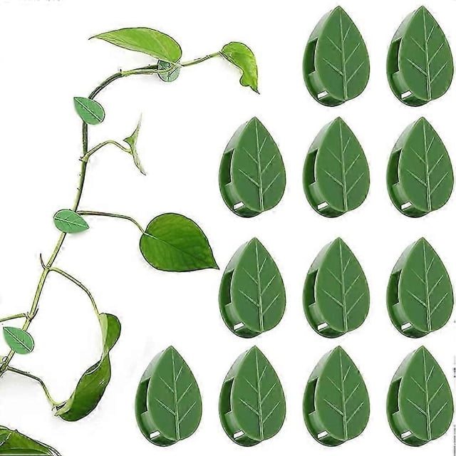 Pack of 50 Self Adhesive Plant Holders Plant Connector Clip Climbing Plants Fixing Wall Plant Clips compatible Supports Planting