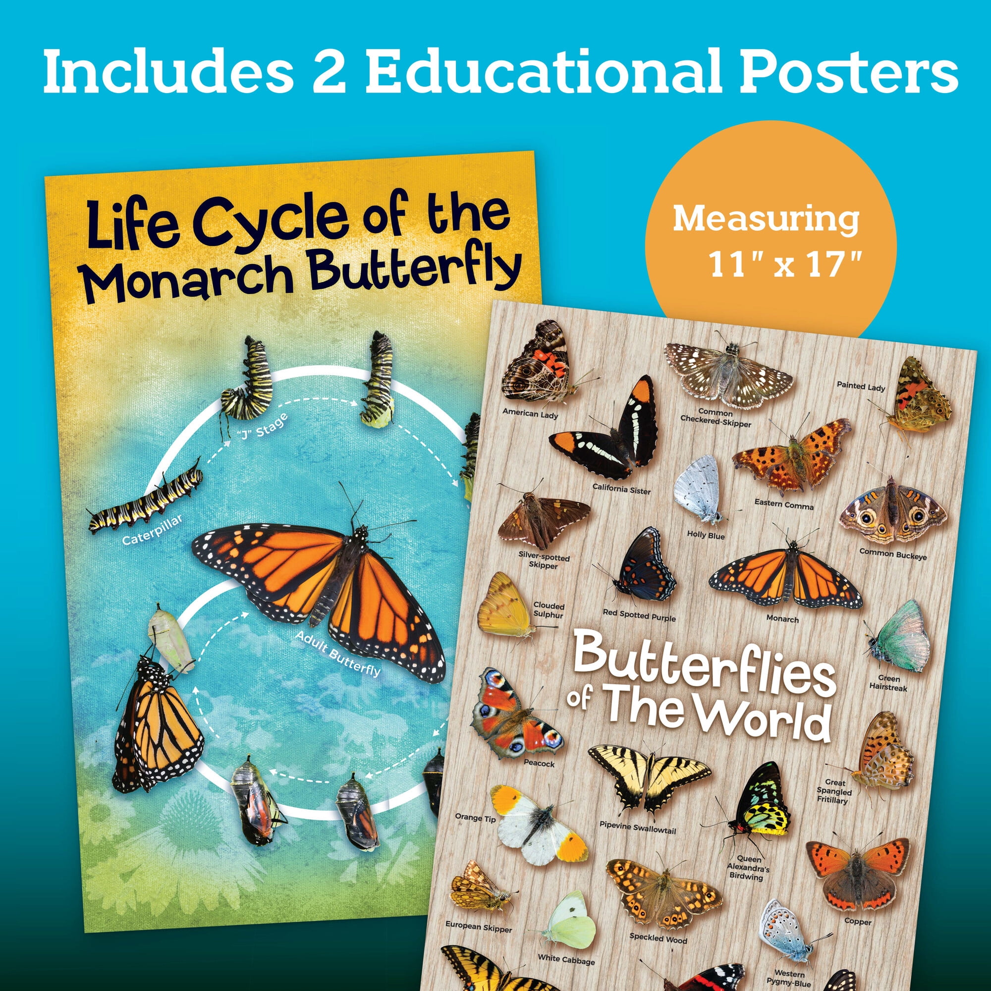 MindWare Make Your Own Butterfly House Kit, Butterfly Craft Kit for Kids Age 5 and Up